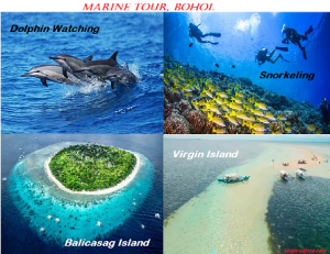 Bohol Marine Tour